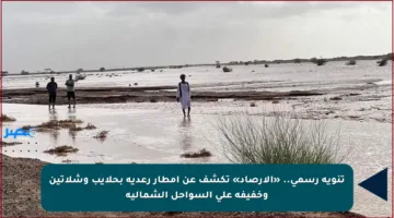 تنويه رسمي.. «الأرصاد» تكشف عن أمطار رعدية بحلايب وشلاتين وخفيفة على السواحل الشمالية